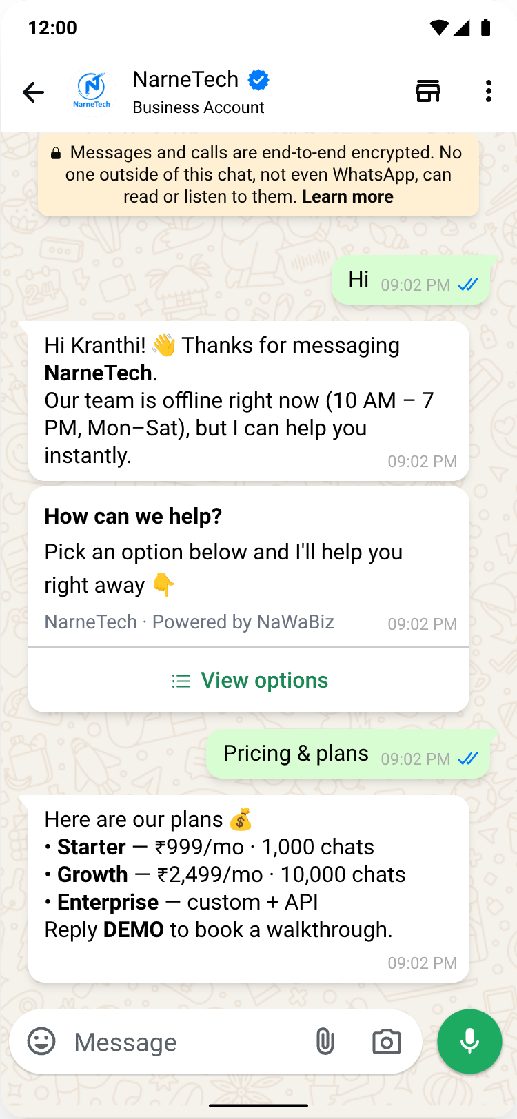 WhatsApp auto reply conversation — a Hi triggers an away message, a View options list menu and a pricing reply
